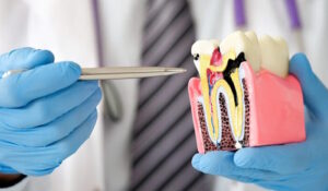 стоматологічні клініки Рівного