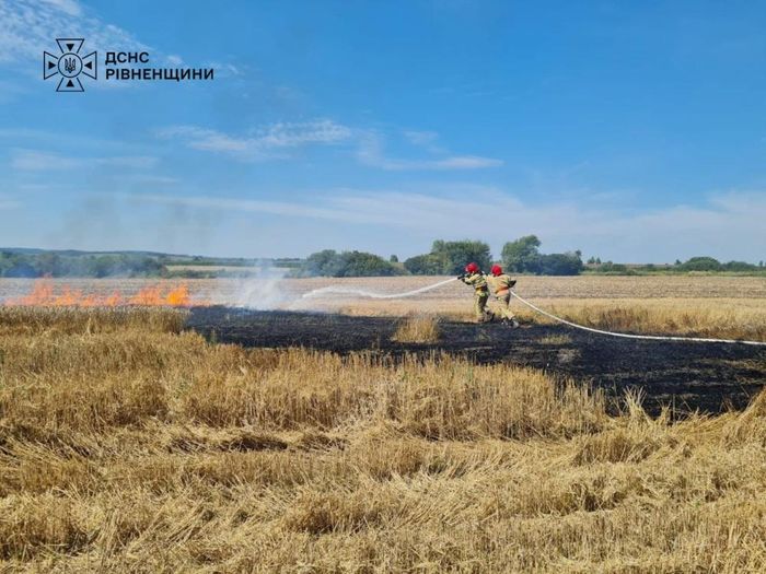 На Рівненщині масштабна пожежа знищила 10 гектарів сухостою та 2 гектари пшениці