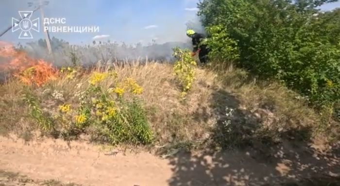 За добу на Рівненщині сталося 11 пожеж в екосистемах: вигоріло 3,4 гектара сухостою
