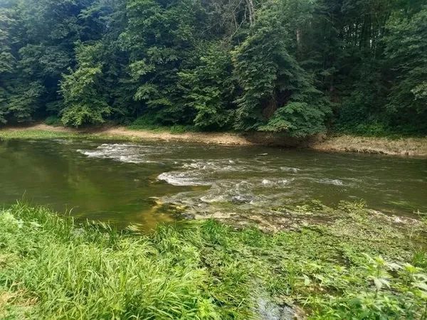 Річки Рівненщини критично міліють: на Горині вже оголилися кам’янисті пороги