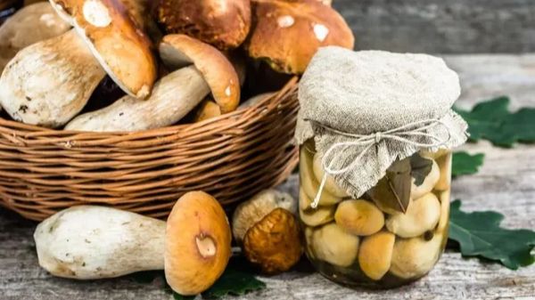 маріновані білі гриби