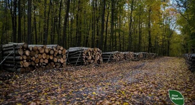 Попит на дрова на Рівненщині зріс у понад два рази